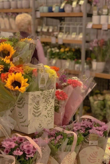 Trùng Sinh Trừng Trị Bạn Cùng Phòng Cực Phẩm